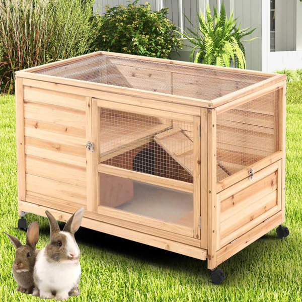 Tucker Murphy Pet™ Brandwein Weather Resistant Rabbit Hutch with Ramp